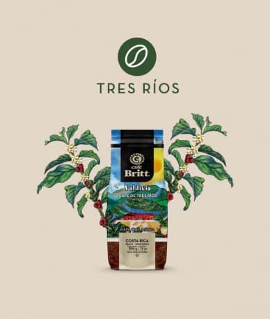 CafeBritt Cofe beans Viladivia 300 G