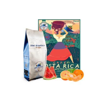 Blue Mountain Decaf Costa Rica Aquiares Estate, Roasted Coffee Beans - 500g