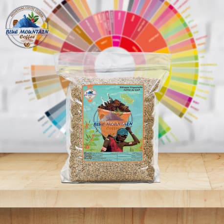 Blue Mountain Ethiopia Yirgacheffe, Green Coffee Beans - 3Kg